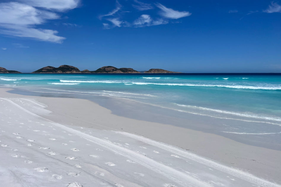 Mobirise Website Builder